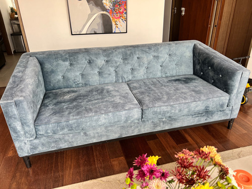 Sofa En Terciopelo Francés