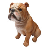Escultura Cachorro Bulldog Continental Filhote Decorativo