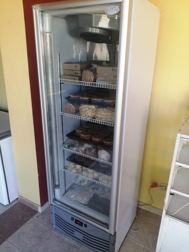  Freezer Exhibidor Vertical Fam 420bt Baja Temperatura -18ºc