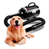 Soprador Secador Profissional Cães Gatos Banho Tosa Pet Shop Cor Preta 110v