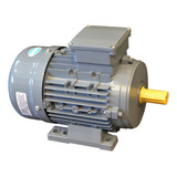 Motor Trifasico Czerweny 15 Hp 1000 Rpm Blindado B3