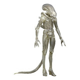 Boneco Alien Xenomorph Figura Alien Neca Novo Top