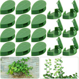 Folhas Clips Grampos Adesivos Para Fixar Plantas Trepadeiras