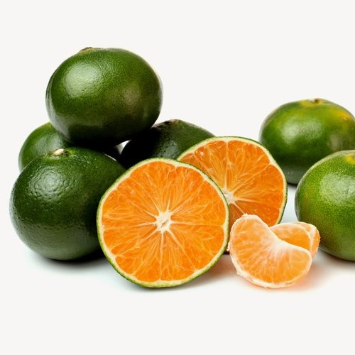 Limónero Paraguayo, Naranja Lima Cons/ Envios!!