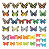 Ds Vivid Butterflies Niños Vinilos Decorativos Vinilos...