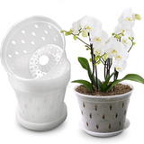 Macetas Lanccona Transparente Para Orquídeas, 17 Cm Pack 8un