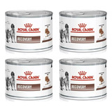 Alimento Royal Canin Lata  Recovery Perro Gato X 4 Latas