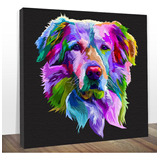 Quadro Decorativo Dog Golden Retriever Estilizado Colorido