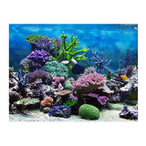 Póster Acuario Coral Marino Pvc Adhesivo 76x46cm