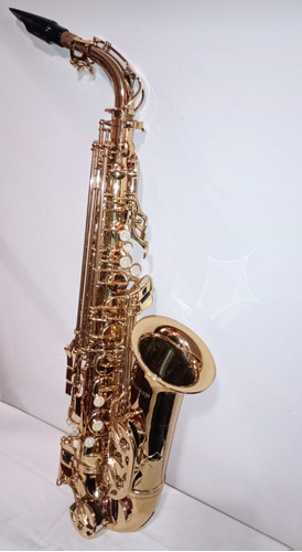 Saxo Alto Western Con Estuche Rigido