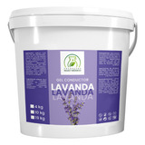 Gel Conductor De Lavanda Aparatología 4 Kilos