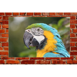 Cuadro 30x45cm Loro Bird Pajaro Guacamayo Selva Libre M8