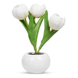Cool Tulip Lamps Lámpara De Escritorio Recargable Estética P