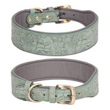 Collar Para Perros (l-gn), Modern - Unidad a $54876