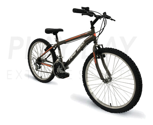 Bicicleta Mountain Firebird Mtb 18 Velocidades Rodado 24