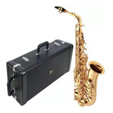 Sax Alto Eagle Sa501 Sa-501 Mib Laqueado Com Case Super Luxo