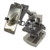 Microscopio Compuesto Para Principiante Ms-100sp Carson