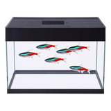 Aquário 10 Litros 30cm 30x15x25cm Com Led 6500k  Promoção