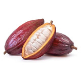 Cacao  Natural Un 1 Kg