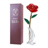 Rose Bañada En Oro, Tallo Largo Sinvitron 24k Rose Real Baña