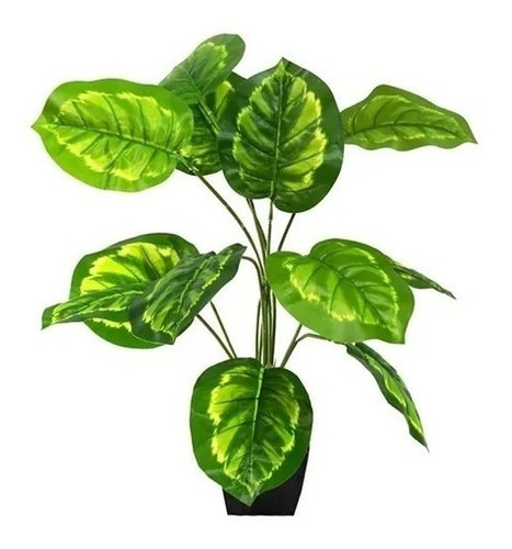 Planta Artificial Decorativa Calathea Alberti Bf-34 (01)