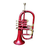 Queen Brass 4valve Flugelhorn Bb/f Pitch W/hardcase Mp Rojo