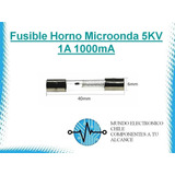 2 X Fusible Horno Microonda 5kv 1a 1000ma