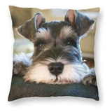 Funda De Almohada Con Diseño De Perro Schnauzer En Miniatura