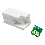 Almohadillas + Chip Cartucho Mantenimiento C9345 Epson L8160