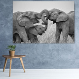 3 Elefantes 60x90cm Cuadro Canvas En Bastidor Decorativo
