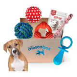Mascobox Pelota Dental Full Juguetes Varios Accesorios Perro