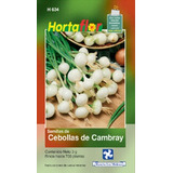 Semilla De Cebolla Cambray 3g, 700 Semillas Aprox