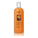 Shampoo Fortalecedor Anti Caida Arginina 375ml Tan Natural