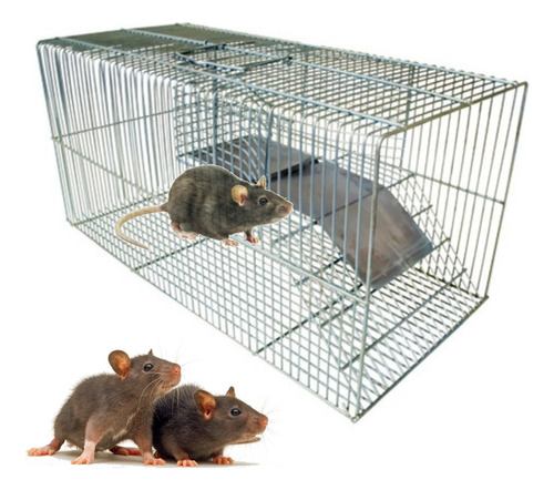 Ratoeira Grande Fundo Falso Capturar Rato Camundongo