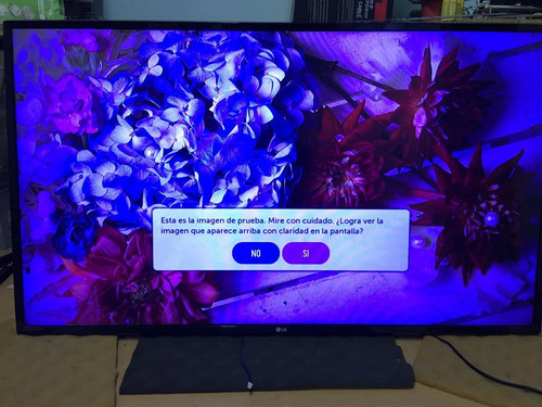 Reparación  Tv LG 49uj6560 Pantalla Azul