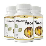 Colágeno Tipo 2 Não Desnaturado 120 Cápsulas - Kit C/ 3 Un