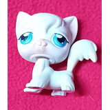 Little Pet Shop Hasbro Gato Blanco De Pelo Largo 