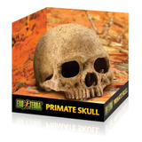 Exo Terra Escondite Fósil Primate Skull 