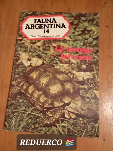 La Tortuga Terrestre Fauna Argentina 14 Ceal 