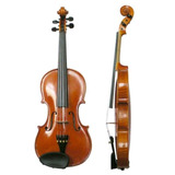 Violin 4/4 Macizo Tapa Pino Picea