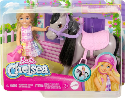 Boneca Barbie Chelsea Passeio De Ponei - Mattel Htk29