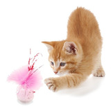 Gigwi Melody Tumbler Juguete Interactivo Para Gatos