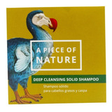 Shampoo Solido Natural Para Cabellos Grasos Y Caspa Vegano