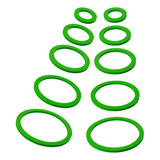 Set De Protección Para Plantas Acuáticas - 10 Verde