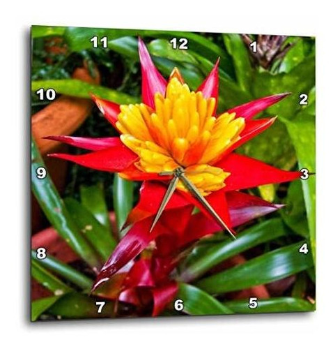 Reloj De Pared Con Flor Tropical Roja Y Amarilla 10x10 