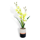 Vaso De Flores Orquideas Cor Rosa Ou Branco Cimento