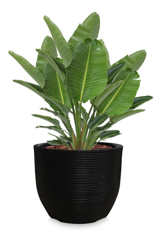 1 Vaso De Planta Grande Gigante Frutifera Plastico 60x56 R