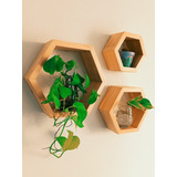 Set Repisas Hexagonales En Pino Natural