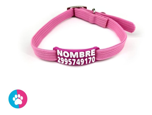 Collar Elastizado + Chapita Pasante Gato Y Perros Pequeños