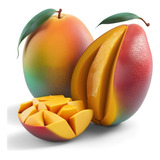 Arbol De Mangos De 4años Ideal Para Maceta/suelo 